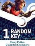 Try To Get Harry Potter: Quidditch Champions - Random 1 Key - Steam Key - GLOBAL