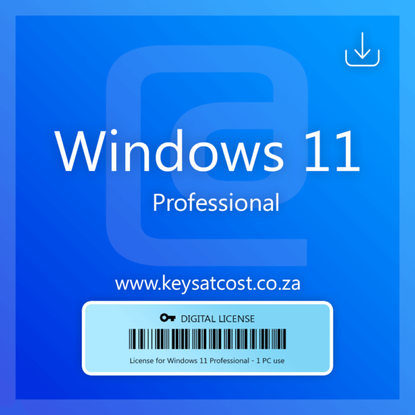 Windows 11 Professional OEM product Pro Key